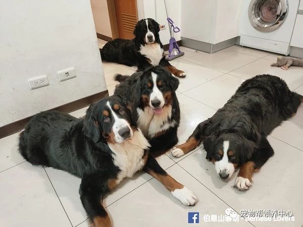 微信图片_20210514093501.jpg