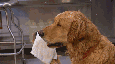 微信图片_20200910144406.gif