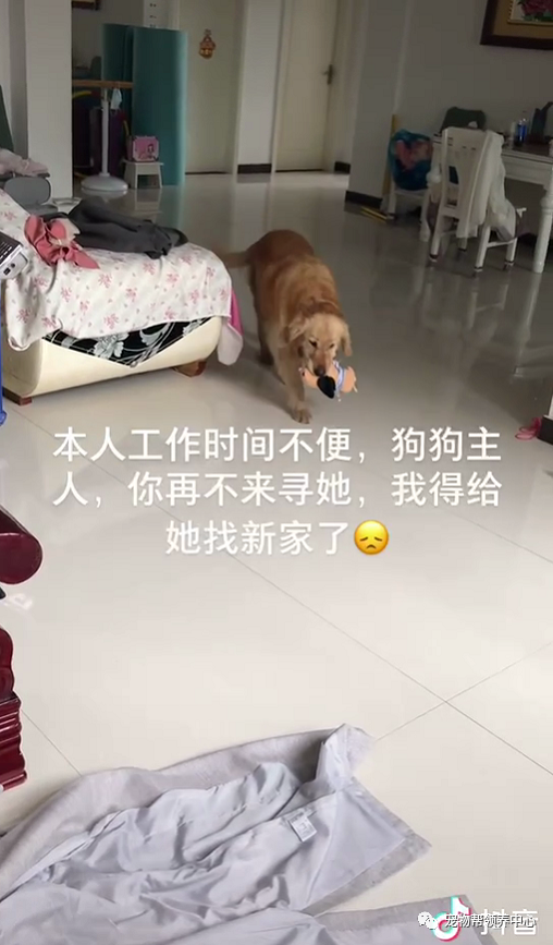 微信图片_20210525111200.png